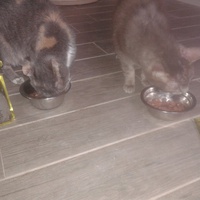 photo de livraison pour Arche de Véra