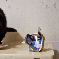 photo de livraison pour Chats Libres des Hauts Cantons de l'Hérault