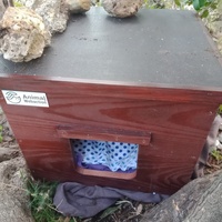 photo de livraison pour Les Chats-Pitresdelavi-Ste