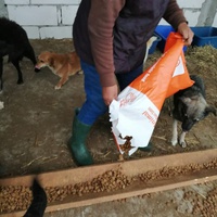 photo de livraison pour Mariuta