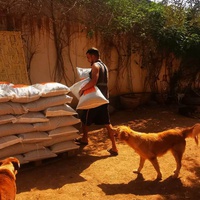 photo de livraison pour Help Adopt Moroccan Animals