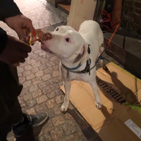 photo de livraison pour Le Resto des Zanimos