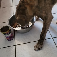 photo de livraison pour AVRAH