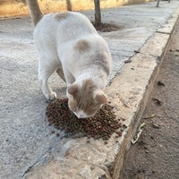 photo de livraison pour Kawthar Maree