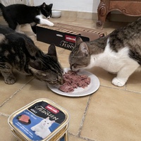 photo de livraison pour APATE