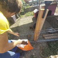 photo de livraison pour Innocente