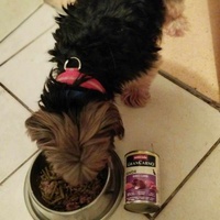 photo de livraison pour AVRAH