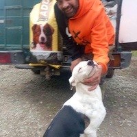 photo de livraison pour Programme alimentaire Animal Webaction