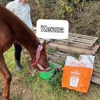 photo de livraison pour La Retraite des Chevaux des Causses