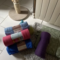 photo de livraison pour Les Chats de Condom 32