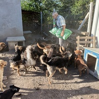 photo de livraison pour Association for the protection of animals "BAK"