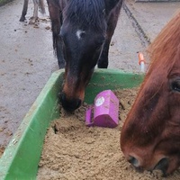 photo de livraison pour Au Bonheur Animal