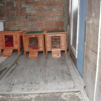 photo de livraison pour Protection Animale Berroise
