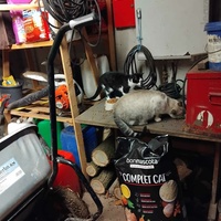 photo de livraison pour Sweety Pets