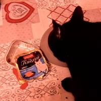 photo de livraison pour Cosette