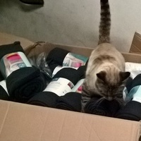 photo de livraison pour La Tribu de LOLA