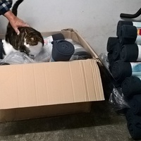 photo de livraison pour La Tribu de LOLA