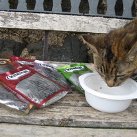 photo de livraison pour Jardin des Chats
