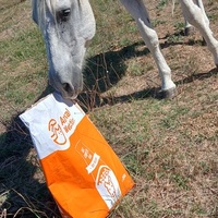 photo de livraison pour Equi-Libre : Droit à la Retraite Equine