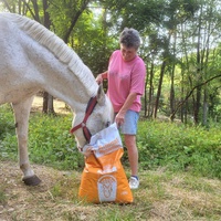 photo de livraison pour Association hippique du Caroux