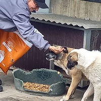 photo de livraison pour Associtia Axi Hope Romania