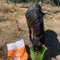 photo de livraison pour Espoir au Galop