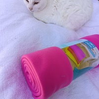 photo de livraison pour Les Chats de la Rue