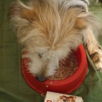 photo de livraison pour AVRAH