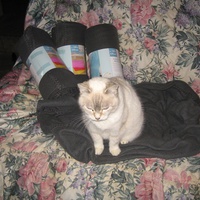 photo de livraison pour Jardin des Chats
