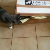 photo de livraison pour Chaperlipopette 77