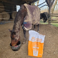 photo de livraison pour Haras d'Ealmy