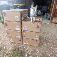 photo de livraison pour Ecole du Chat Libre de Caillerot