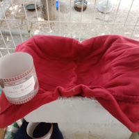 photo de livraison pour Les Chats-Pitresdelavi-Ste