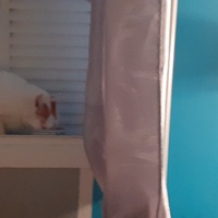 photo de livraison pour Protect Cat