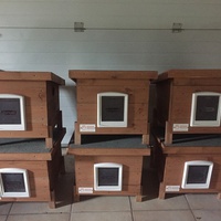 photo de livraison pour Ecole du Chat des Alpilles
