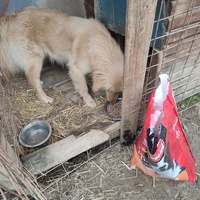 photo de livraison pour Samira Gagula