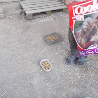 photo de livraison pour Refuge de Lénuta