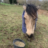 photo de livraison pour Espoir au Galop