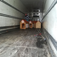 photo de livraison pour Refuge pour chiens de Baia Mare