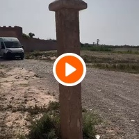 photo de livraison pour Le Coeur sur la Patte