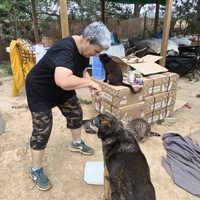 photo de livraison pour Chats Libres de Béziers