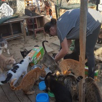 photo de livraison pour Chats Libres de Béziers