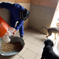 photo de livraison pour Happy Tails Animal Rescue