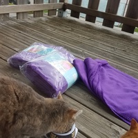 photo de livraison pour Nos Amis les Poilus à Quatre Pattes