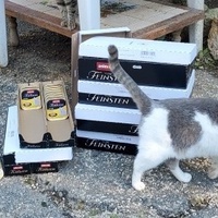 photo de livraison pour ANIMAL ATTITUDE
