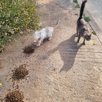 photo de livraison pour Kawthar Maree