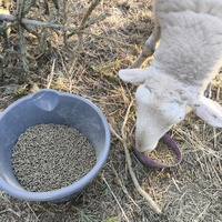 photo de livraison pour Chats Libres de Béziers