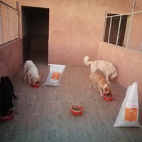 photo de livraison pour L'Arche de Noé