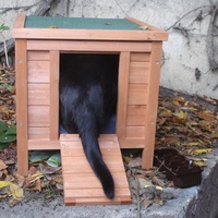photo de livraison pour Bien vivre avec les Chats Sallélois
