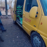 photo de livraison pour Svetlana Bjelogrlic